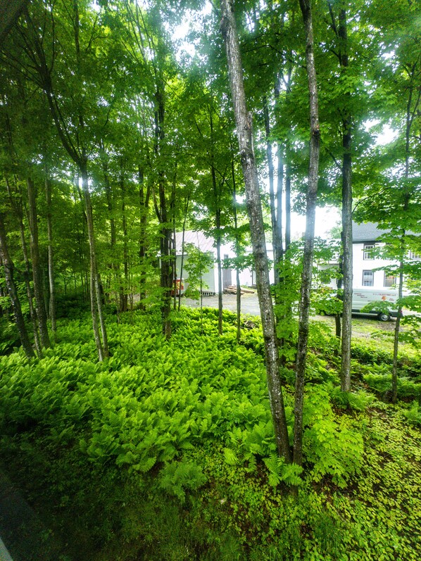 المنطقة المحيطة بالمنشأة