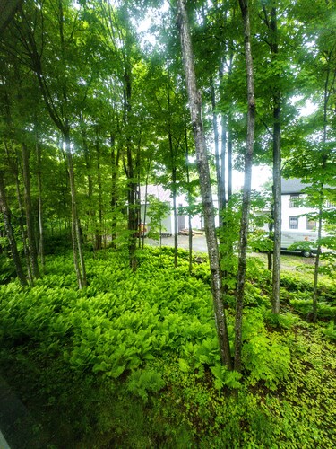 Minimal & Cozy Victorian Private Room in Downtown Skowhegan