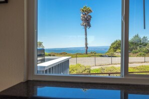 A window view of a coastal landscape with a palm tree, a clear blue sky, and a distant view of the ocean.