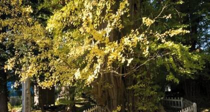 Smoking Double Room Annex Accommodation only plan / Hachinohe Aomori