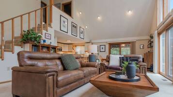 TV, fireplace, books