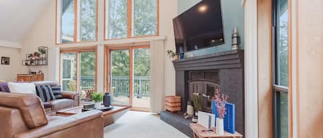 TV, fireplace, books