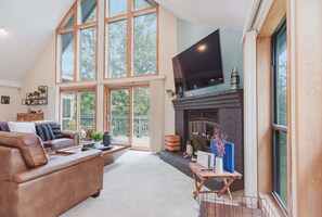 TV, fireplace, books