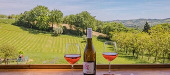 Villa Beatrice, near Mondavio, 18 km away from the Adriatic coast