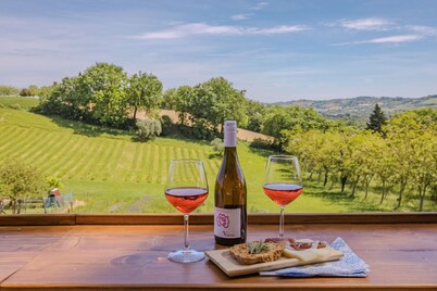 Villa Beatrice, near Mondavio, 18 km away from the Adriatic coast