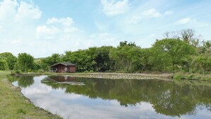Escena tranquila junto al lago con una pequeña cabaña de madera, rodeada de exuberante vegetación y árboles.