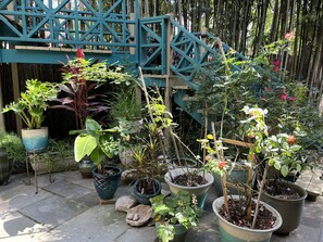 Un jardin agrémenté de diverses plantes en pot, d’une clôture en bambou et d’un escalier bleu.