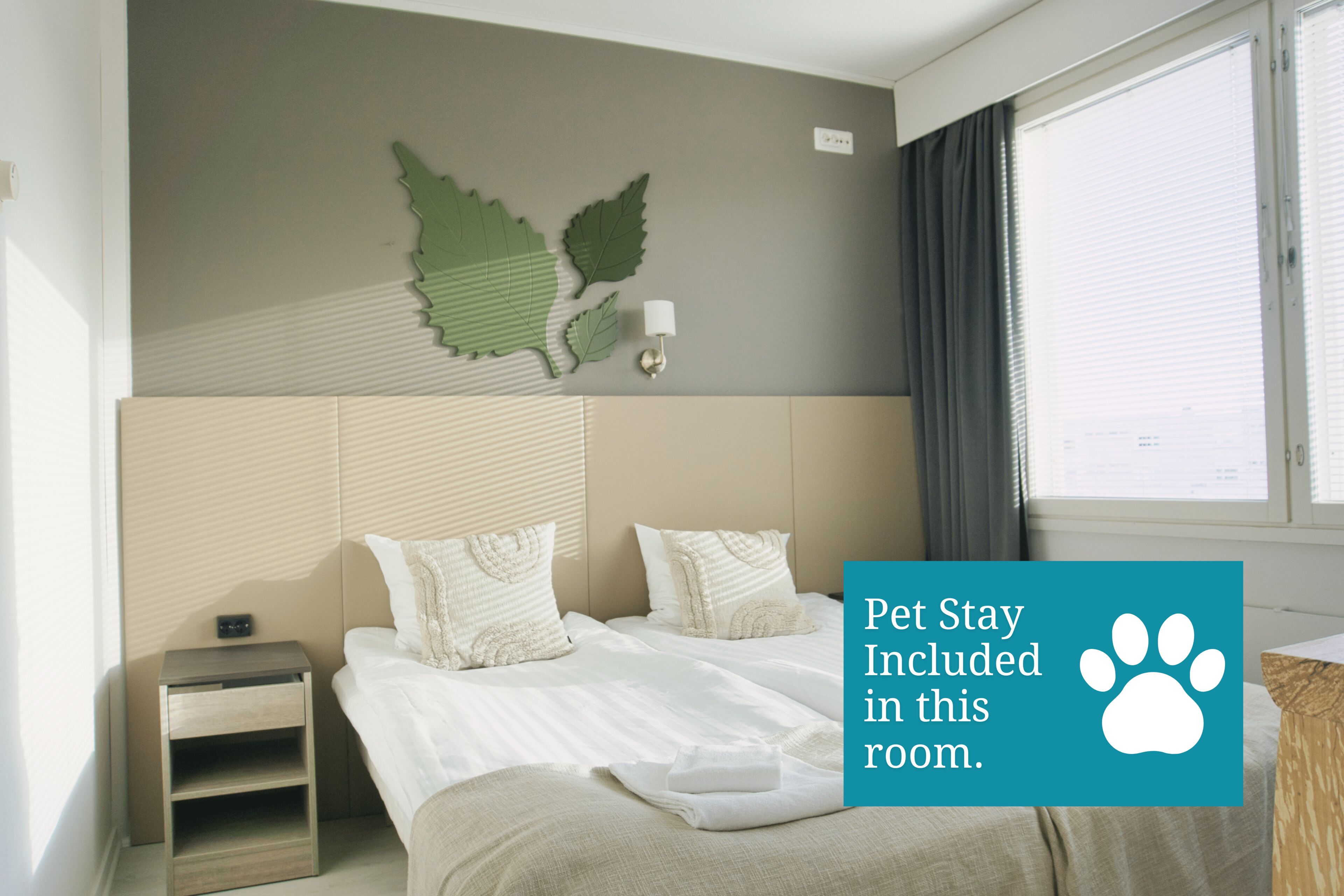 Chambre Double Standard