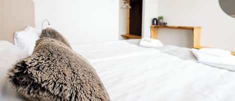 Habitación doble estándar