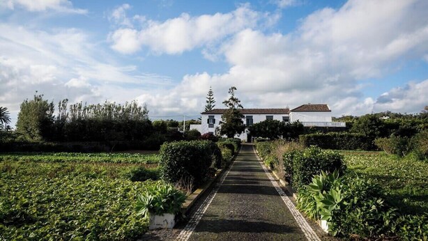A pathway leading to a white building with a red-tiled roof, surrounded by lush greenery and a clear sky. - GuestReady - Quinta do Solar perfect for families (Ponta Delgada)