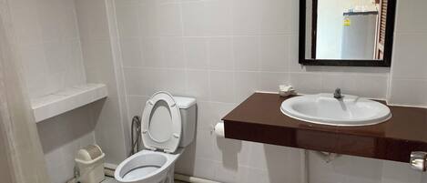 Un baño con inodoro, lavamanos y espejo.