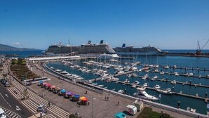Uma marina com vários navios de cruzeiro atracados, uma passarela para pedestres e uma vista ampla da água.