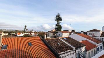 Vista desde la propiedad