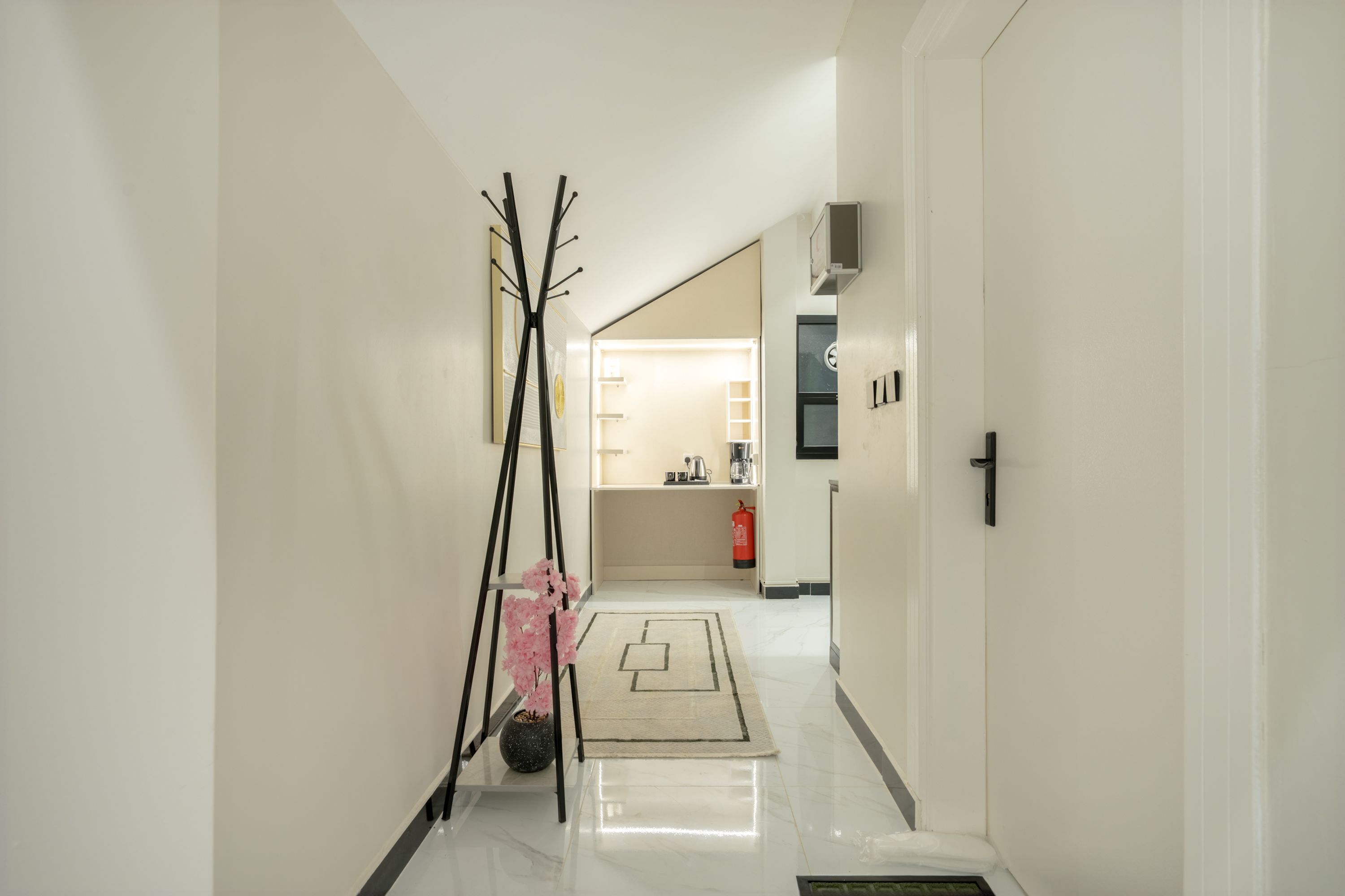 A hallway with a black coat rack, a potted plant, and a rug leading to a kitchen area with a sink and a fire extinguisher.