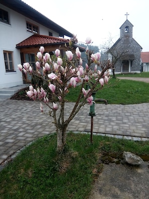 Detalle exterior