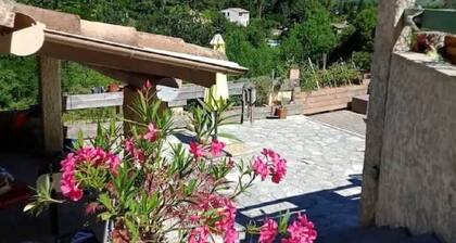 La Maison de graviĂšs