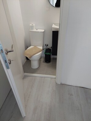 Chuveiro, secador de cabelo, toalhas de banho, sabonete