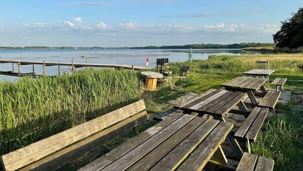 A wooden dock extending into a calm lake, surrounded by grassy areas and picnic tables.