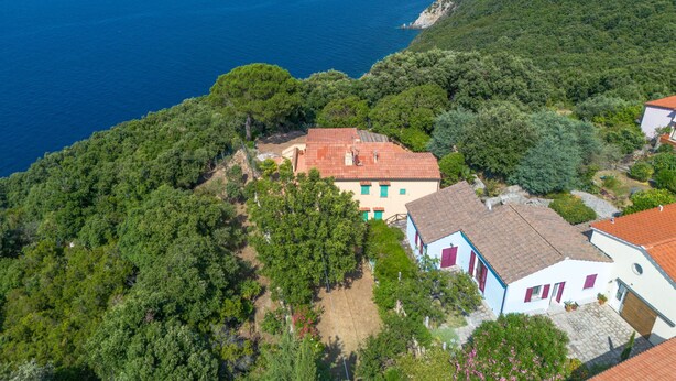 Ein Küsteneigentum mit einem rotdachigen Haus, umgeben von üppiger Vegetation und Blick auf das Meer.