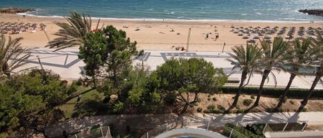 Playa en los alrededores