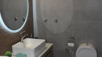 Hair dryer, towels, soap, toilet paper