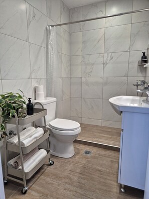 Hair dryer, towels, soap, toilet paper