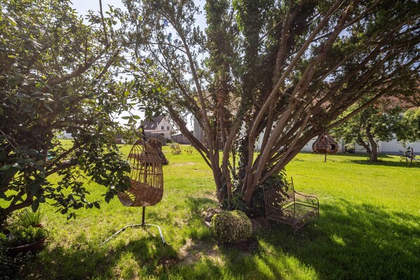 A tree with hanging birdcages and a bench in a grassy area.