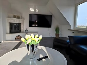 Fernseher, Kamin