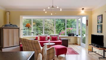 Télévision, cheminée, chaßne hi-fi