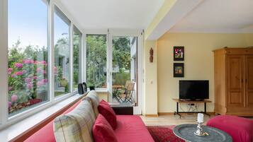 Télévision, cheminée, chaßne hi-fi