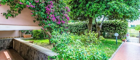 A courtyard with a stone wall, a planter, and a variety of green shrubs and trees.