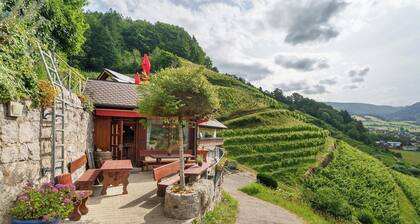 Chambre '7' avec vue sur les montagnes, terrasse partagée et Wi-Fi