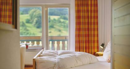 Apartment 'Panoramazimmer 11' with Mountain View, Shared Terrace and Wi-Fi