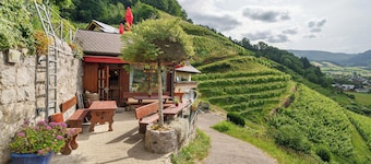 Room 'Komfortzimmer 1' with Mountain View, Shared Terrace and Wi-Fi