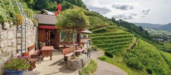 Room 'Deluxezimmer 4' with Mountain View, Shared Terrace and Wi-Fi