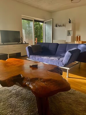 Fernseher