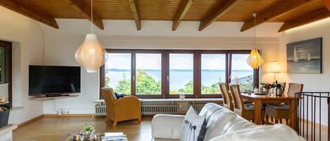 TV, caminetto, lettore DVD, tavolo da ping pong