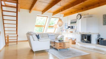 TV, fireplace, DVD player, ping pong