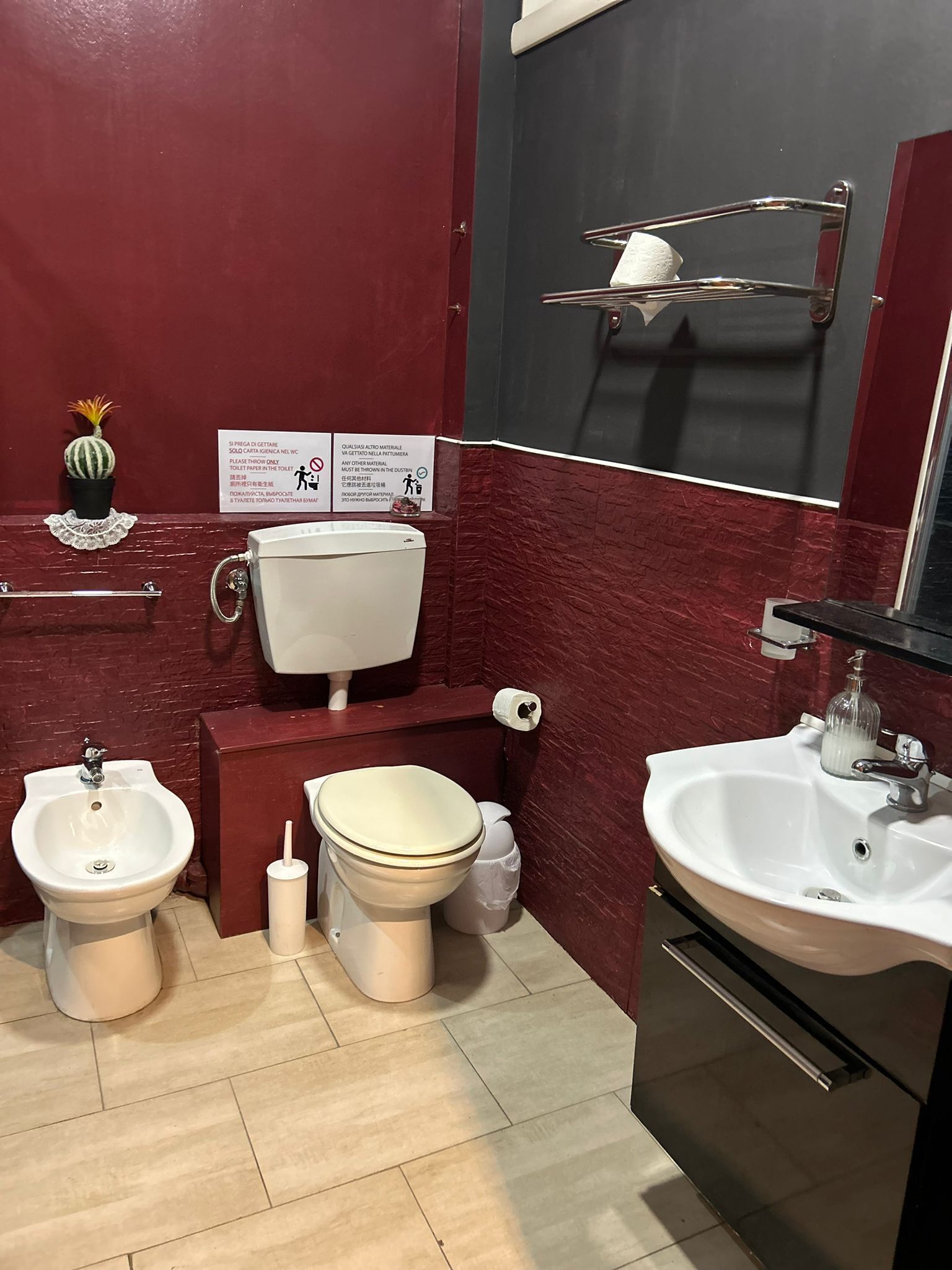 Un bany amb vàter, bidet i rentapel. Hi ha indicadors a la paret i una petita decoració de cactus.