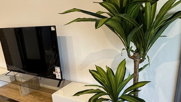 Un salon moderne avec un téléviseur à écran plat, des meubles en bois et blancs, et une plante en pot.