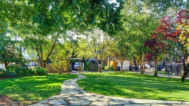 Property grounds - Large, 2BR/1BA with AC/TV/Internet/Laundry (Washington)
