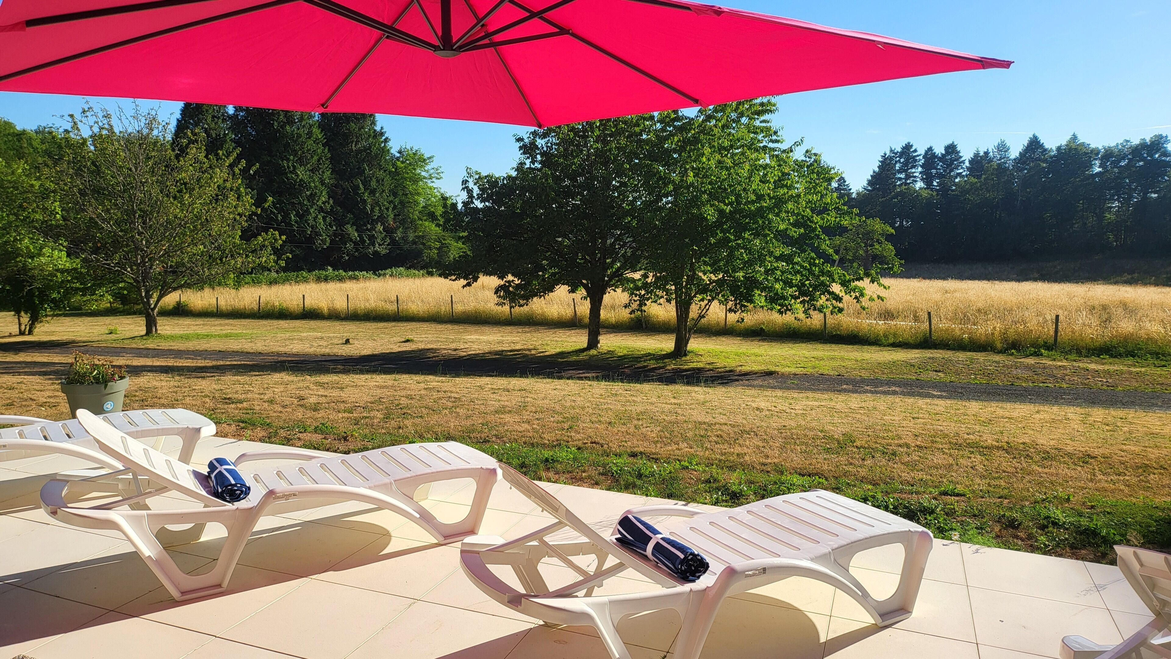 Cadeiras de lounge ao ar livre com um guarda-sol vermelho, um campo gramado e árvores ao fundo.