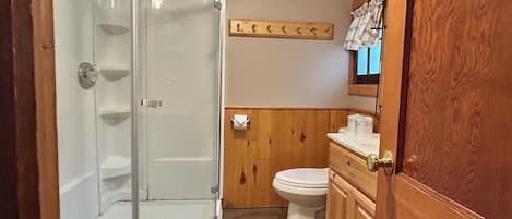 Shower, hair dryer, soap, toilet paper
