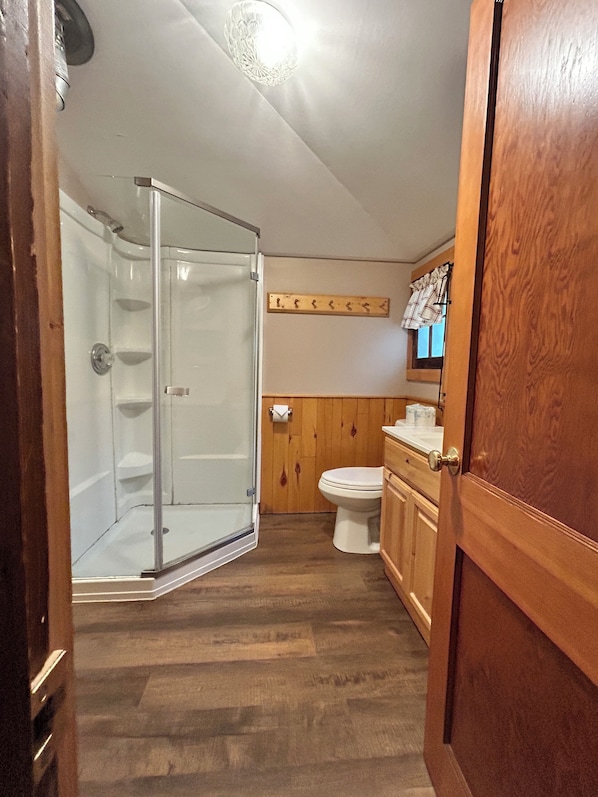 Shower, hair dryer, soap, toilet paper