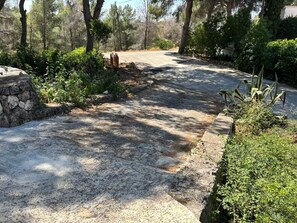 A paved pathway with stone walls and greenery on both sides.