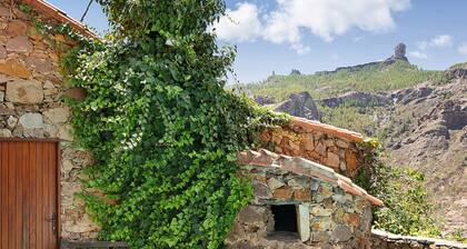 Incredible Rural House for up to 6 guests in Gran Canaria