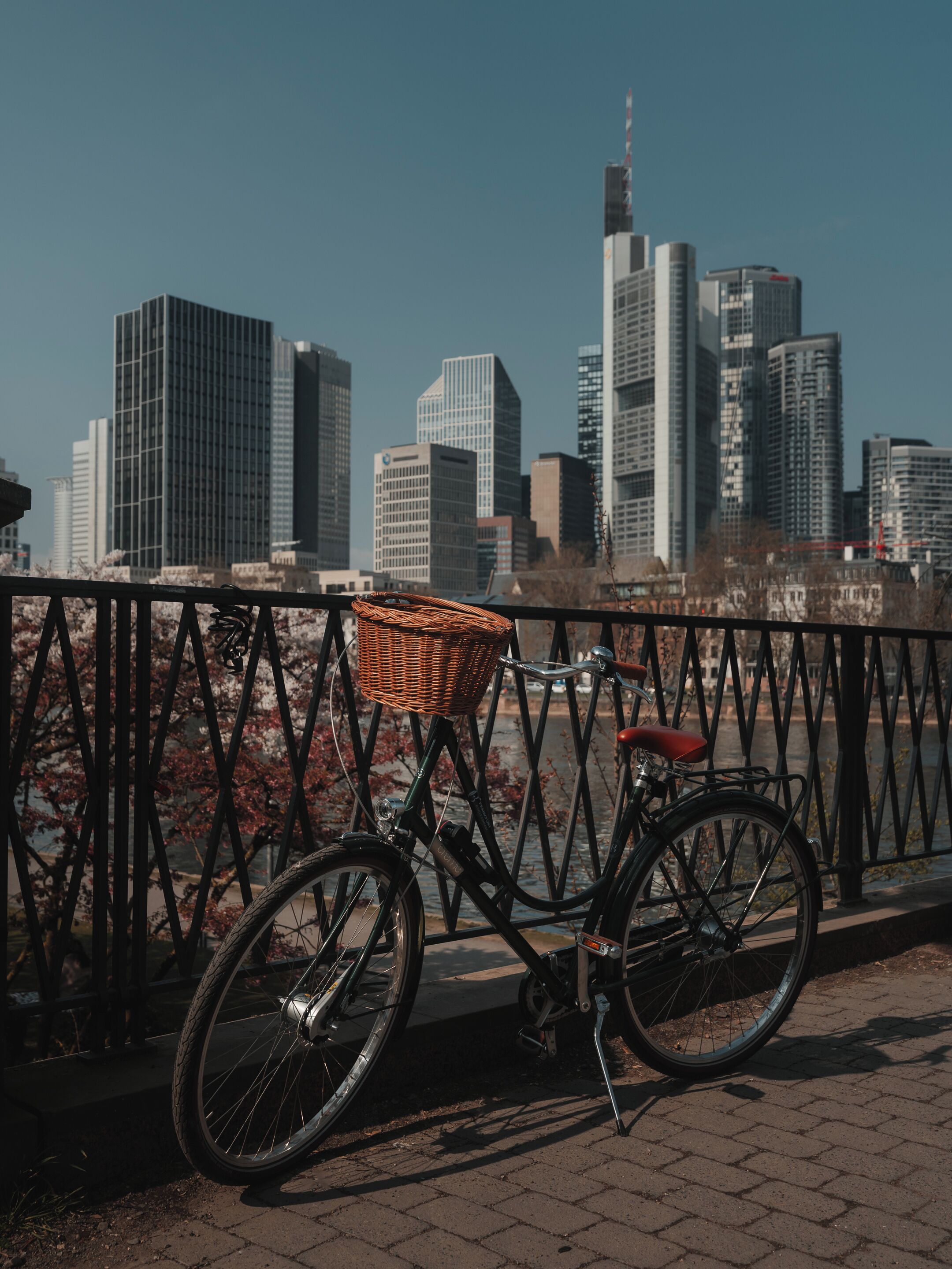 Ciclismo