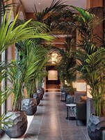 Un couloir au design moderne, agrémenté d’une longue rangée de plantes en pot et d’espaces aménagés pour s’asseoir.