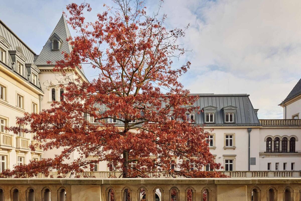 A terrace with wicker chairs and a table, a tree with red leaves, and buildings in the background.