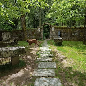 A stone pathway leading through a lush, green forested area with a dog walking on it. - Rustic Terrace2 Bedrooms Farm House (Celorico da Beira)